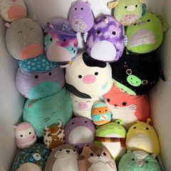 Squishmallows Bundle