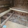 Hen coop Image 5