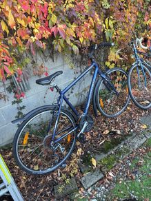 Bike free