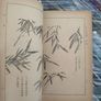 Vintage 1948 Chinese Book: Mustard Seed Garden Painting Manual Image 4