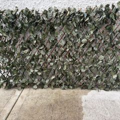 Expandable Garden Trellis