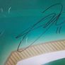 Ireland football poster signed by six ex players Image 3