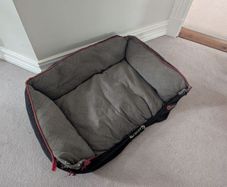 dog bed