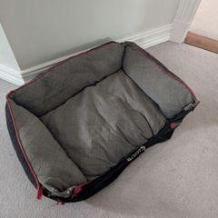 dog bed