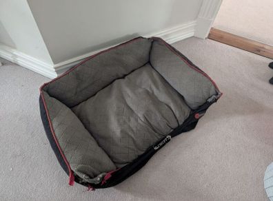 dog bed