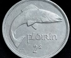 Ireland - 1964 - Florin - Salmon - KM.15a - [2456]