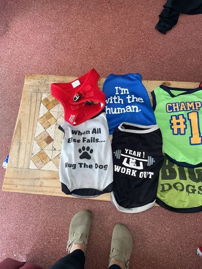 Puppy Vests