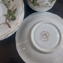 Small Collection of Arklow Pottery Coffee Set Items in the Ragusa Pattern, Plus Some Free Matching Pattern Saucers by Royal Tara. Image 7