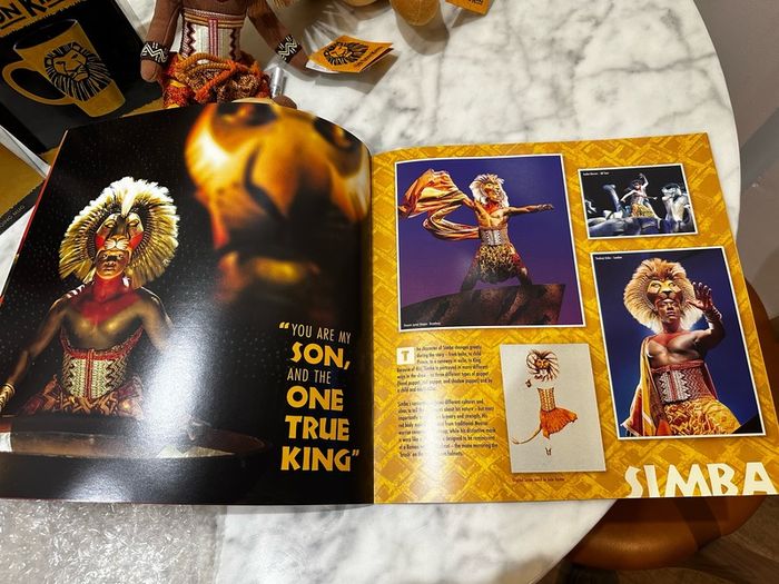 The Lion King Merchandise Bundle