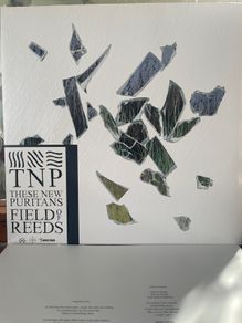 These New Puritans - Field Of Reeds