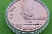 North Korea 2007 year Proof 20 Won.