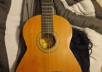 Alvaro Acoustic Guitar