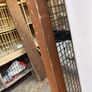 Ex pigeon loft Image 4