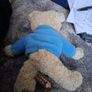 KLM airline bear Image 4