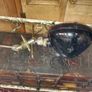 Nautical Salvage Inspection Light Image 5