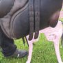 brown saddle Johs. Stubben, Krefeld Image 6