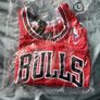 Chicago Bulls NBA jersey Image 3