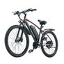 Burchda Rx60 Electric Bike Image 2