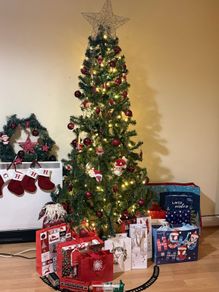 Just the Christmas tree - no ornaments
