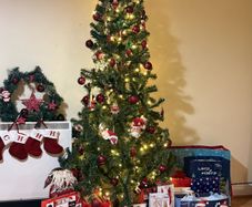 Just the Christmas tree - no ornaments