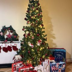 Just the Christmas tree - no ornaments