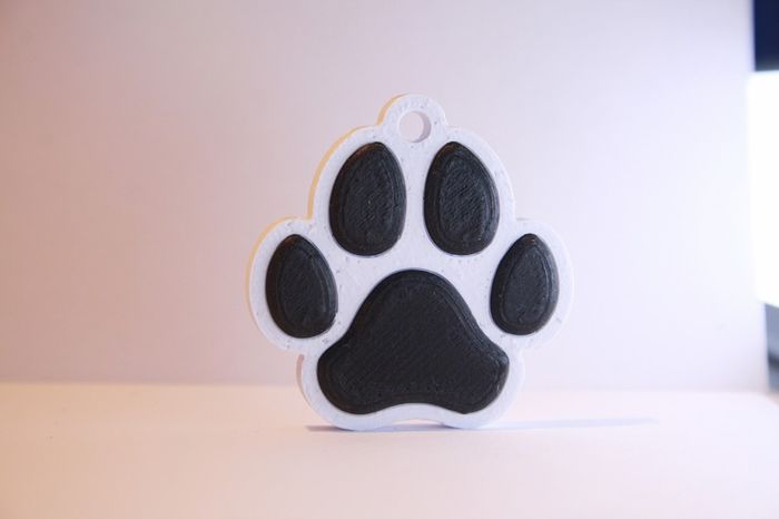 Personalised 3D Printed NFC Smart Pet Tag / Keychain