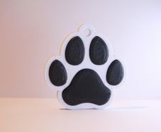 Personalised 3D Printed NFC Smart Pet Tag / Keychain