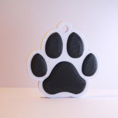 Personalised 3D Printed NFC Smart Pet Tag / Keychain