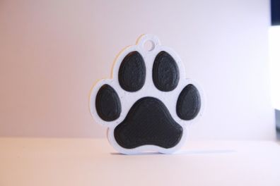 Personalised 3D Printed NFC Smart Pet Tag / Keychain