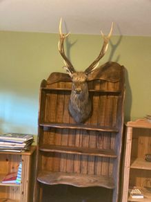 wooden shelf