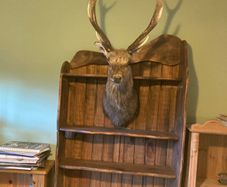 wooden shelf