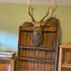 wooden shelf