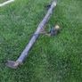 Towbar & Tailboard/Light Socket Image 3
