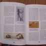 Men Of Steel (Surgery in the Napoleonic Wars) - Medical History Book - Military History Book - Napoleonic War History Book Image 3