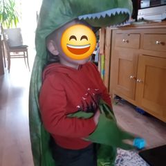 Dinosaur dress up