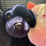 Teddies Image 3