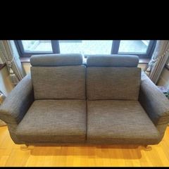 2 and 3 seater couch
