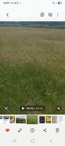 Meadows..ready for cutting