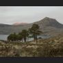Mamiya RZ67 65mn F4 L-A Floating System Lens Image 6