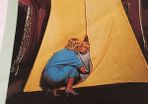 Inner tent