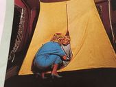 Inner tent