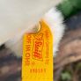 Steiff Issy seal and cosy Heuler Image 10