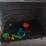 dog crate medium sized dog Image 2