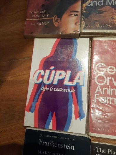 Novels for secondary school