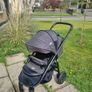 Buggy Image 3