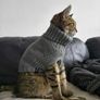 Grey Knitted Jumper for Cat or small Dog - NEW Image 2