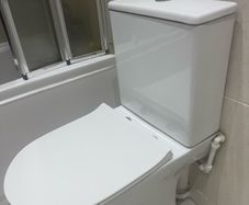 toilet