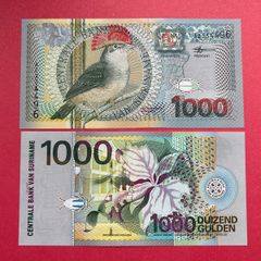 Suriname  1000  Gulden  2000  Pick 151a   ( Uncirculated )