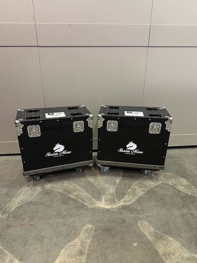 4x 250W BSW Moving Heads