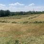 Silage bales Image 2